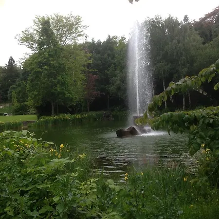Seerose Baden-Baden