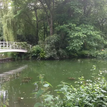 Seerose Baden-Baden